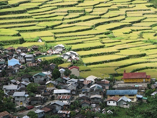 Bhotechaur Nature Camping